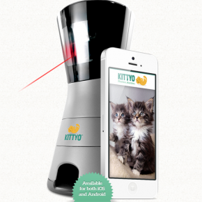 Kittyo: una app i un gadget per a interactuar amb el teu gat quan no siguis a casa